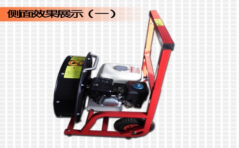 pyfj_6.jpg pyfj_6.jpg